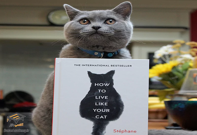 کتاب گربه، راهنمای ما