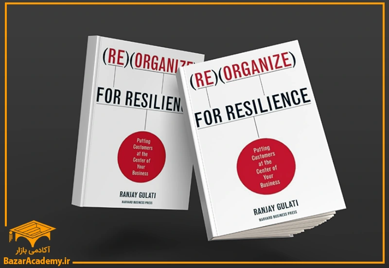 Reorganize for Resilience, Ranjay Gulati, 2009