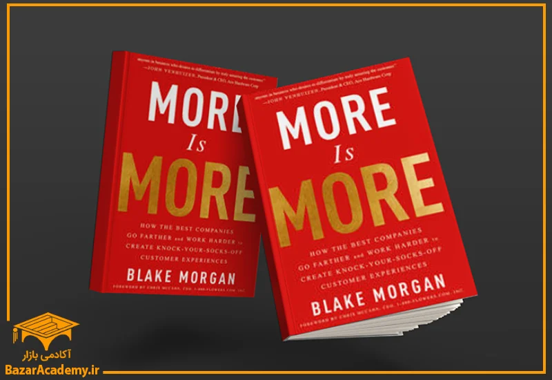 کتاب More Is More: How the Best Companies Go Farther and Work Harder to Create Knock-Your-Socks-Off Customer Experience by Blake Morgan